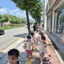 팔용로-2 이미지