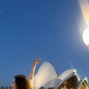 (주)와이피하우스앤비치클럽 | [25.2.~3.] 호주 시드니 여행(6) | 본다이비치 / 아이스버그 / 오페라하우스 선셋바 / 달링하버 불꽃놀이