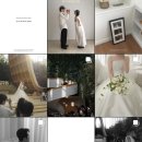 O.W.소프트 웨어 | W.11 본식 아이폰스냅 소프트보울 계약 후기 빈티지감성 짝꿍구함