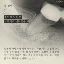샘케이스