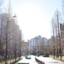 월영동300 이미지