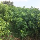 온석농장 이미지