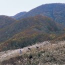 오서산성동 이미지