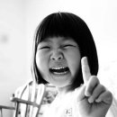 다섯마리 하우스 이미지