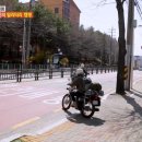 몽글몽글 애견유치원 이미지