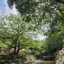 긴돌담집 | 대구 근교 계곡 평상 예약 가능한 청도 돌담집펜션