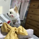 경민메디칼 이미지