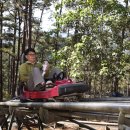 양천구 지역명소 탐방코스 13 | [공지] [제 14편] 달랏의 숲속을 달리다, 다딴라 폭포와 알파인 코스터 체험기