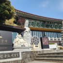 제주불교성지 순례길 절로 가는길 - 보시의 길 | 제주 절 서귀포 사찰 산방산 보문사 산방사 산방굴사