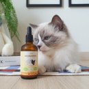 바이오큐 | 고양이영양제 맥주효모로 털빠짐 헤어볼 관리, 바이오비어헤페