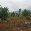 대금목장 이미지