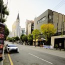 오감닭도리탕 | 광주 남구 봉선동 닭도리탕 맛집 미인계 봉선점 방문기 | 회식·가족외식 추천!