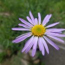 동강생태정보센터 이미지