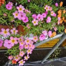 레이카운티 3단지 이미지