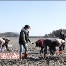 자장꽃차문화연구원