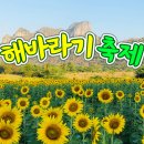 7월 23일(일) 태백 매봉산 ..바람의 언덕 해바라기 꽃 축제.힐링 트래킹.♡40,000원.조중식(찰밥) 이미지