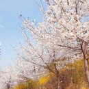 남통동 족구장 네이버블로그