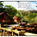 꿈꾸는 숲 이미지