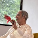 프라나요가 이미지