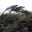 대학육계2 이미지