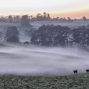 동은목장 이미지