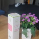 케어엔젤의료기 이미지