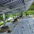 도움 태양광발전소 이미지