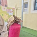 역전할머니맥주 전하점 이미지