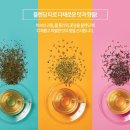 쉼표그린 이미지