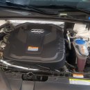 SHARK MOTOR OIL 이미지