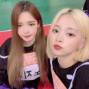 플로버