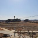 도대리카페 이미지