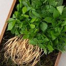 가음정시장 이미지