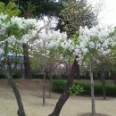 우포늪 자전거 대여소 이미지