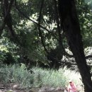 당구친구 이미지