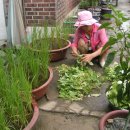 이화약국 이미지