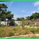 무창포공인중개사사무소 이미지