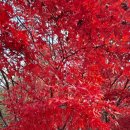 각골공원 이미지