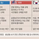 AI 규제… 한국, EU보다 자율적이고 美보다 엄격 이미지