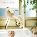 행복나무 이미지