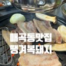 땡겨복돼지 | 광주삼겹살맛집) 매곡동맛집 땡겨복돼지 오겹살 막창 진짜 쫄깃해