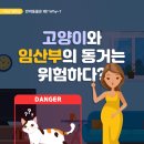 다솜고양이메디컬센터 이미지