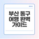 뉴대한여행사 | 부산 동구 여행사 추천, 인기 코스, 예약 방법 알아보기