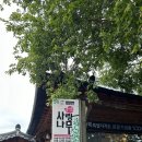 사랑나무민박 이미지