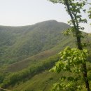 삼거리횟집 이미지