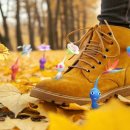 뉴21커뮤니티(주) 이미지