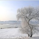 신륵사