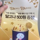 배라 10월 이달의 맛 신제품 너는 달고나 이미지