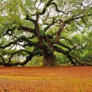 함춘마취통증의학과의원 이미지