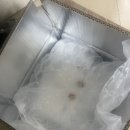 카페블룸 | 쓰레드 두쫀쿠후기 카페블룸 두바이쫀득쿠키 솔직 후기